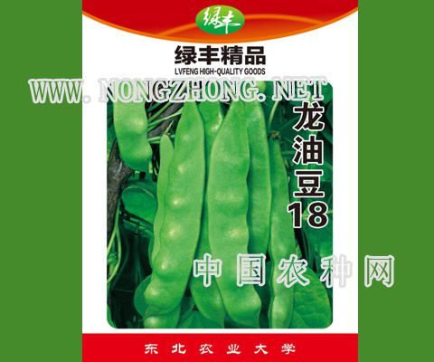龙油豆18